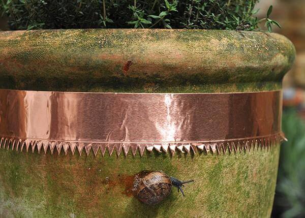 slug-and-snail-tape-copper-foil-tape-detail-02